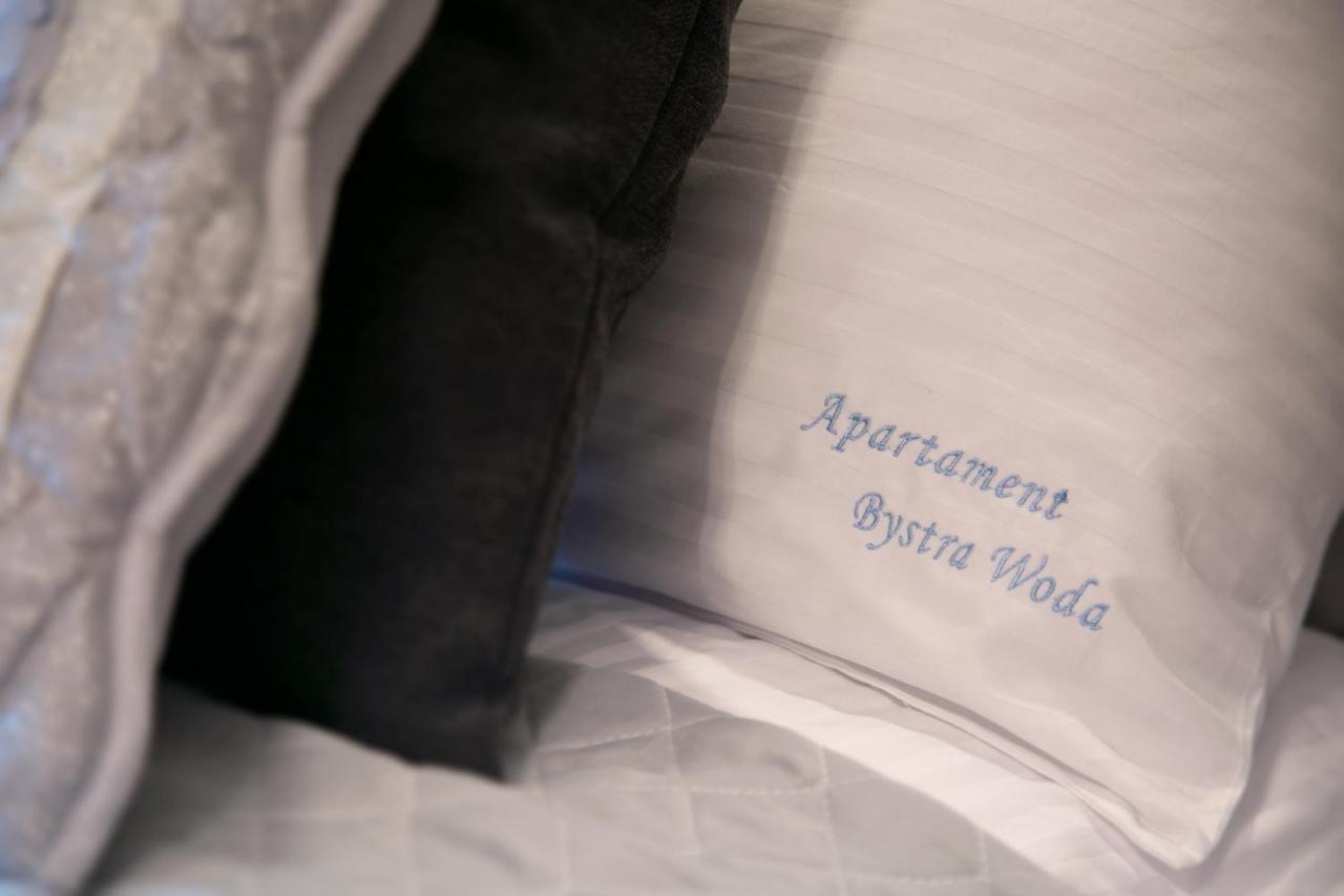 Bystra Woda 29 Komfortowy Centrum Apartment Zakopane